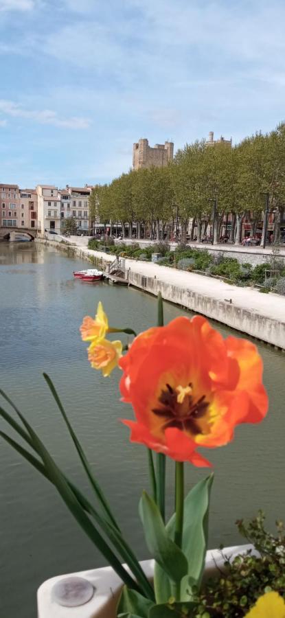 Narbonne Ville Et Mer Ngoại thất bức ảnh